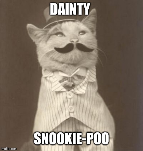 Moustache cat posh | DAINTY SNOOKIE-POO | image tagged in moustache cat posh | made w/ Imgflip meme maker