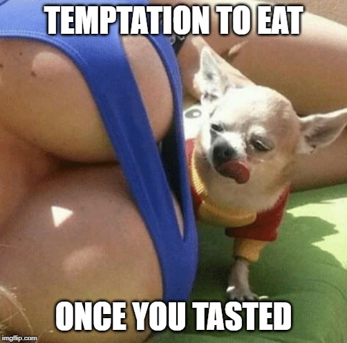 TEMPTATION TO EAT ONCE YOU TASTED | made w/ Imgflip meme maker