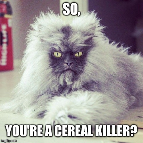 SO, YOU'RE A CEREAL KILLER? | made w/ Imgflip meme maker