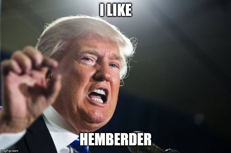 donald trump | I LIKE HEMBERDER | image tagged in donald trump | made w/ Imgflip meme maker