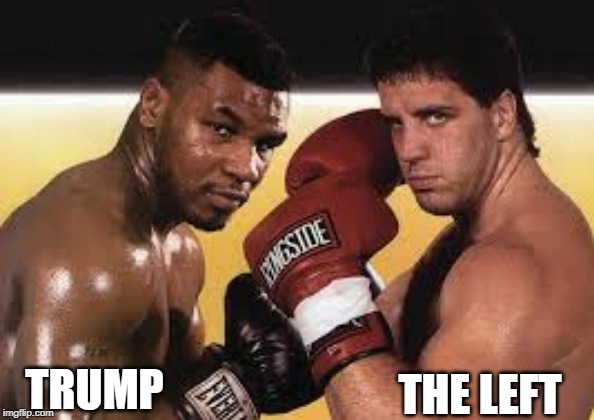 Left doesn't stand a chance | THE LEFT; TRUMP | image tagged in election 2020 | made w/ Imgflip meme maker