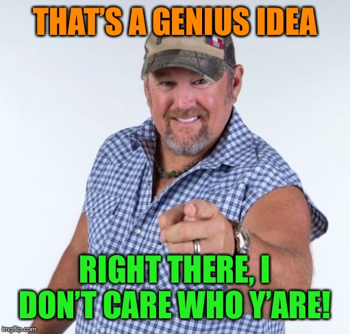 Larry the Cable Guy | THAT’S A GENIUS IDEA RIGHT THERE, I DON’T CARE WHO Y’ARE! | image tagged in larry the cable guy | made w/ Imgflip meme maker