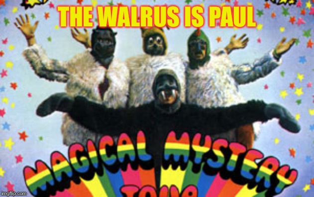 THE WALRUS IS PAUL | made w/ Imgflip meme maker