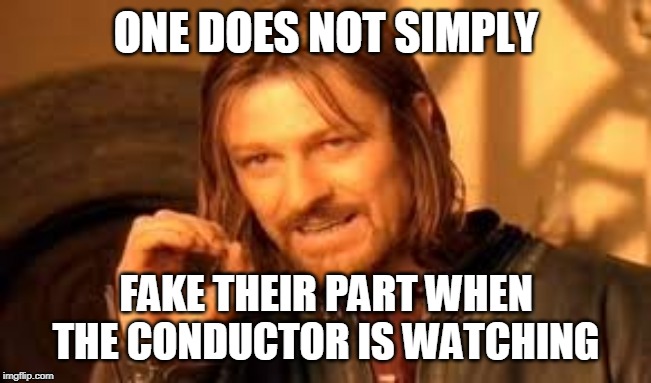 Faking Strats | ONE DOES NOT SIMPLY; FAKE THEIR PART WHEN THE CONDUCTOR IS WATCHING | image tagged in orchestra,one does not simply | made w/ Imgflip meme maker