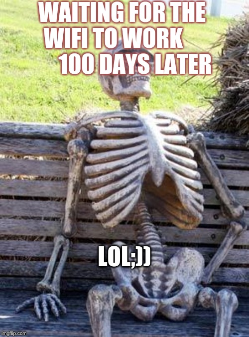 Waiting Skeleton | WAITING FOR THE WIFI TO WORK           100 DAYS LATER; LOL;)) | image tagged in memes,waiting skeleton | made w/ Imgflip meme maker