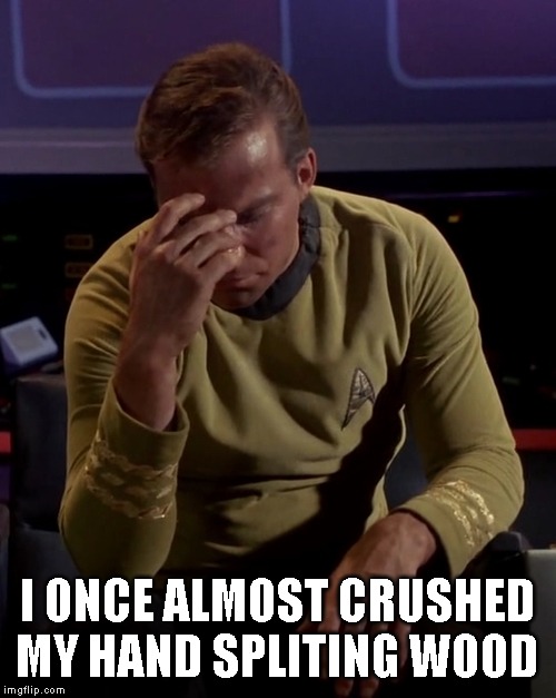 Kirk face palm | I ONCE ALMOST CRUSHED MY HAND SPLITING WOOD | image tagged in kirk face palm | made w/ Imgflip meme maker