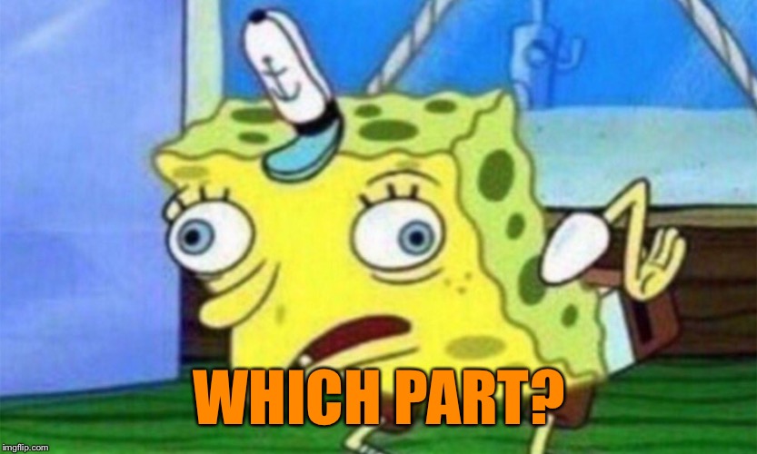 WHICH PART? | made w/ Imgflip meme maker
