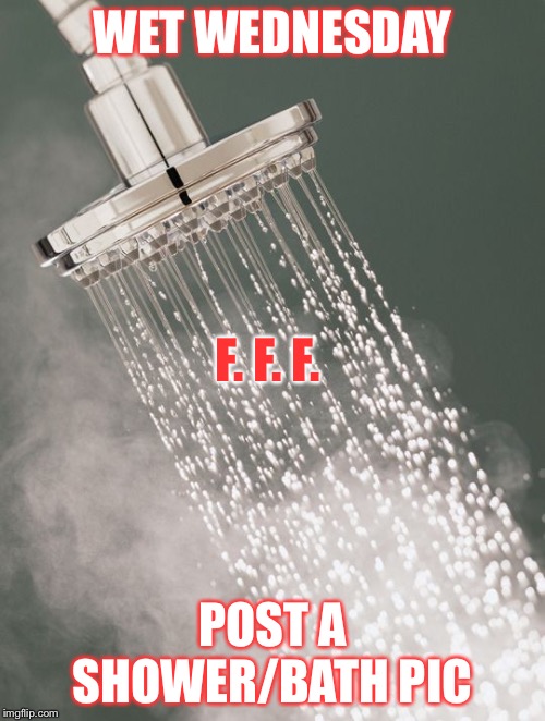 hot shower | WET WEDNESDAY; F. F. F. POST A SHOWER/BATH PIC | image tagged in hot shower | made w/ Imgflip meme maker