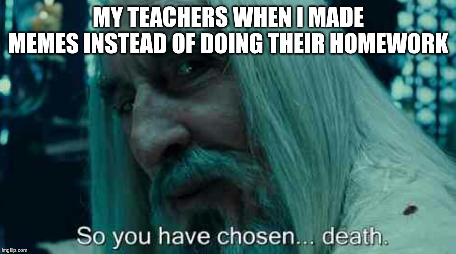 So you have chosen death | MY TEACHERS WHEN I MADE MEMES INSTEAD OF DOING THEIR HOMEWORK | image tagged in so you have chosen death | made w/ Imgflip meme maker