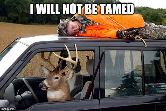 Deer hunting humans | I WILL NOT BE TAMED | image tagged in deer hunting humans | made w/ Imgflip meme maker