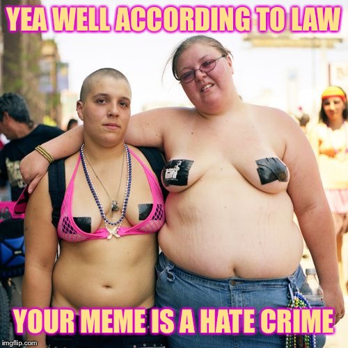Real lesbians | YEA WELL ACCORDING TO LAW YOUR MEME IS A HATE CRIME | image tagged in real lesbians | made w/ Imgflip meme maker