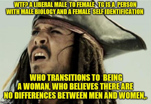 confused dafuq jack sparrow what | WTF? A LIBERAL MALE  TO FEMALE   TG IS A  PERSON WITH MALE BIOLOGY AND A FEMALE  SELF IDENTIFICATION; WHO TRANSITIONS TO  BEING A WOMAN, WHO BELIEVES THERE ARE NO DIFFERENCES BETWEEN MEN AND WOMEN,. | image tagged in confused dafuq jack sparrow what | made w/ Imgflip meme maker