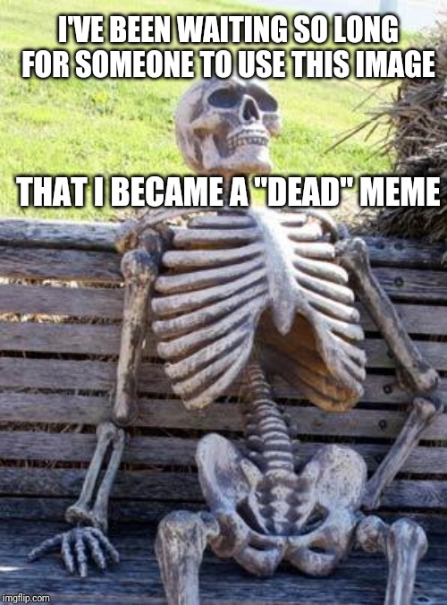 Waiting Skeleton Meme | I'VE BEEN WAITING SO LONG FOR SOMEONE TO USE THIS IMAGE; THAT I BECAME A "DEAD" MEME | image tagged in memes,waiting skeleton | made w/ Imgflip meme maker