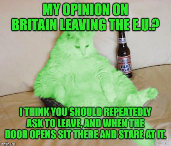 RayCat Chillin' | MY OPINION ON BRITAIN LEAVING THE E.U.? I THINK YOU SHOULD REPEATEDLY ASK TO LEAVE, AND WHEN THE DOOR OPENS SIT THERE AND STARE AT IT. | image tagged in raycat chillin',memes,britain,eu,brexit | made w/ Imgflip meme maker