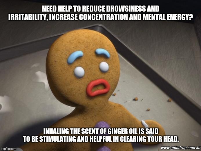 Gingerbread man | NEED HELP TO REDUCE DROWSINESS AND IRRITABILITY, INCREASE CONCENTRATION AND MENTAL ENERGY? www.gumdrop.com.au; INHALING THE SCENT OF GINGER OIL IS SAID TO BE STIMULATING AND HELPFUL IN CLEARING YOUR HEAD. | image tagged in gingerbread man | made w/ Imgflip meme maker