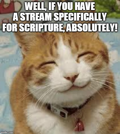 Happy cat | WELL, IF YOU HAVE A STREAM SPECIFICALLY FOR SCRIPTURE, ABSOLUTELY! | image tagged in happy cat | made w/ Imgflip meme maker