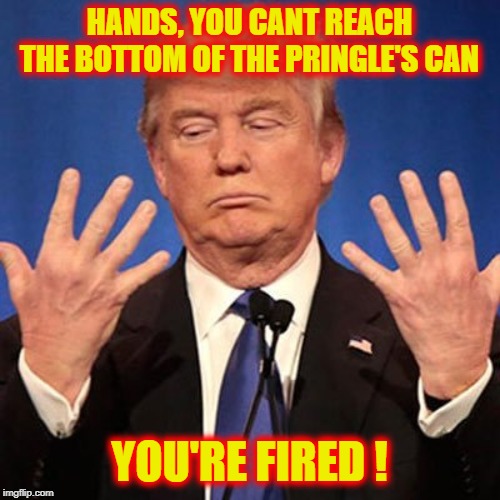 Big Hands | HANDS, YOU CANT REACH THE BOTTOM OF THE PRINGLE'S CAN YOU'RE FIRED ! | image tagged in big hands | made w/ Imgflip meme maker