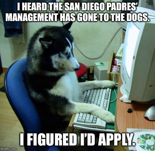 Padres need new management. Dogs could run that team better. | I HEARD THE SAN DIEGO PADRES’ MANAGEMENT HAS GONE TO THE DOGS. I FIGURED I’D APPLY. | image tagged in memes,i have no idea what i am doing,san diego padres,suck,team,boss | made w/ Imgflip meme maker
