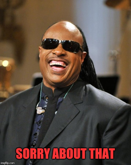 Stevie Wonder | SORRY ABOUT THAT | image tagged in stevie wonder | made w/ Imgflip meme maker