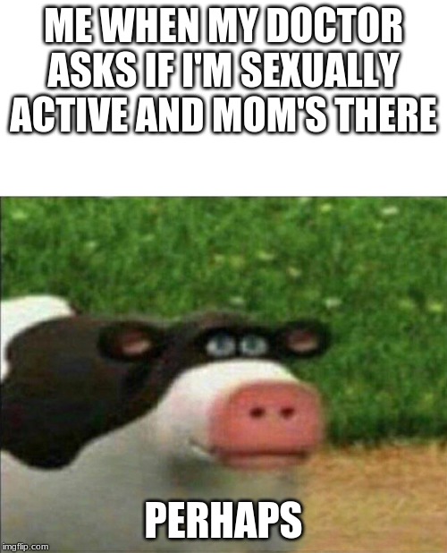 Perhaps cow | ME WHEN MY DOCTOR ASKS IF I'M SEXUALLY ACTIVE AND MOM'S THERE; PERHAPS | image tagged in perhaps cow | made w/ Imgflip meme maker