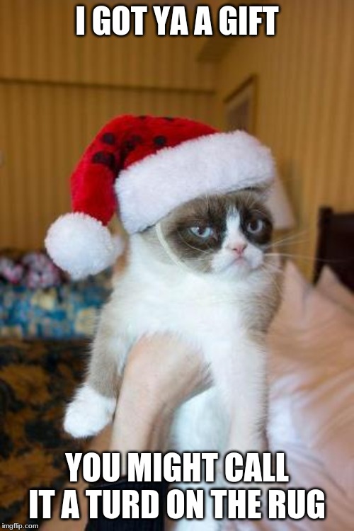 Grumpy Cat Christmas Meme | I GOT YA A GIFT; YOU MIGHT CALL IT A TURD ON THE RUG | image tagged in memes,grumpy cat christmas,grumpy cat | made w/ Imgflip meme maker