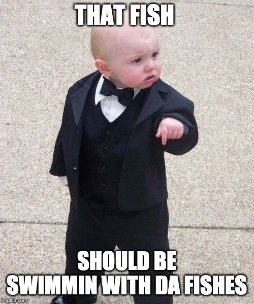 Baby Godfather Meme | THAT FISH SHOULD BE SWIMMIN WITH DA FISHES | image tagged in memes,baby godfather | made w/ Imgflip meme maker