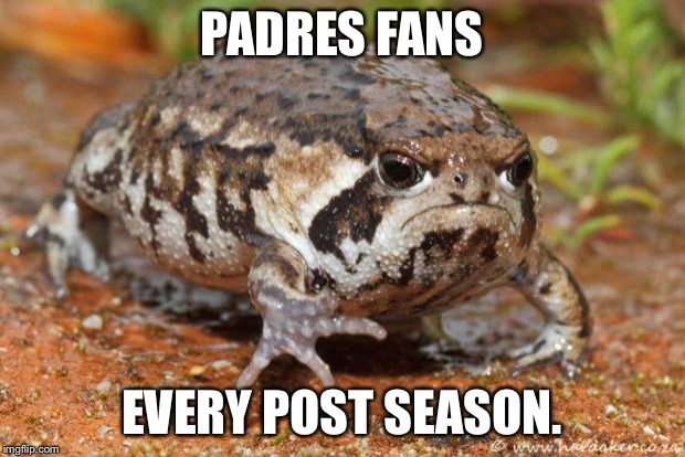 The face San Diego Padres fans make | PADRES FANS; EVERY POST SEASON. | image tagged in memes,grumpy toad,san diego padres,baseball,face,angry | made w/ Imgflip meme maker
