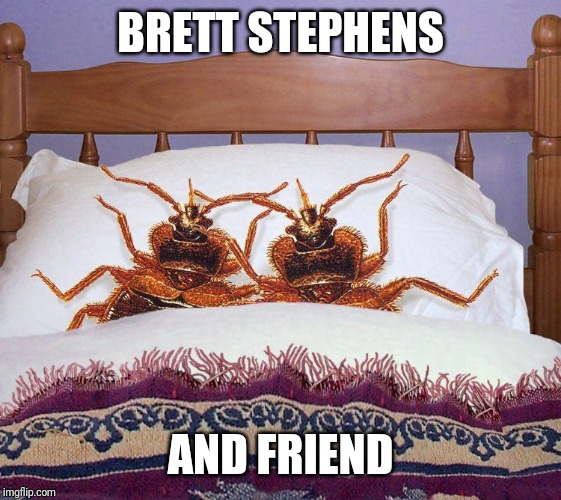 Bed bugs ACTUALLY in bed | BRETT STEPHENS; AND FRIEND | image tagged in bed bugs actually in bed | made w/ Imgflip meme maker