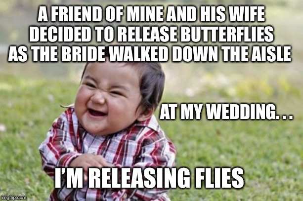 Evil Toddler Meme | A FRIEND OF MINE AND HIS WIFE DECIDED TO RELEASE BUTTERFLIES AS THE BRIDE WALKED DOWN THE AISLE; AT MY WEDDING. . . I’M RELEASING FLIES | image tagged in memes,evil toddler | made w/ Imgflip meme maker