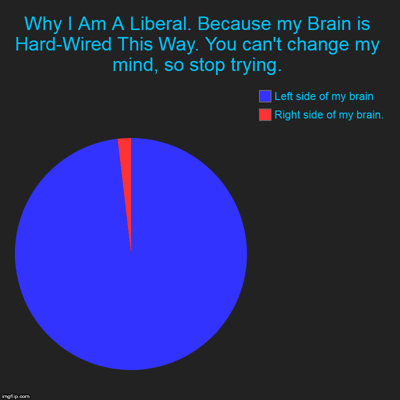 Liberal Hard-Wired Brain | Why I Am A Liberal. Because my Brain is Hard-Wired This Way. You can't change my mind, so stop trying. | Right side of my brain., Left side  | image tagged in charts,pie charts,liberal,brains | made w/ Imgflip chart maker