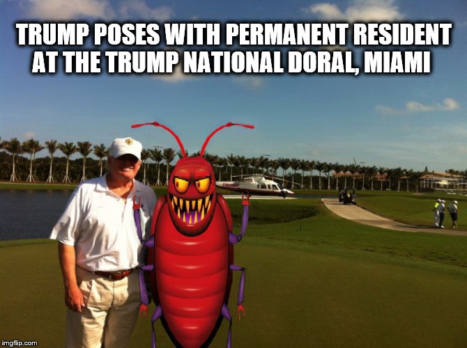 One Big Happy Family..... | TRUMP POSES WITH PERMANENT RESIDENT AT THE TRUMP NATIONAL DORAL, MIAMI | image tagged in bug,donald trump,moron,impeach trump,pests | made w/ Imgflip meme maker