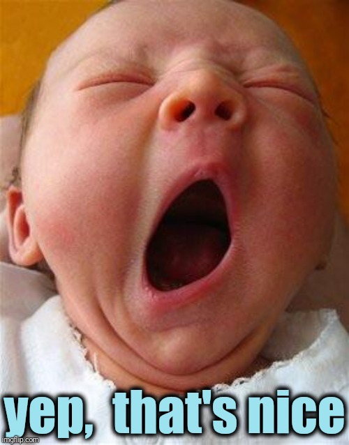 Yawn | yep,  that's nice | image tagged in yawn | made w/ Imgflip meme maker
