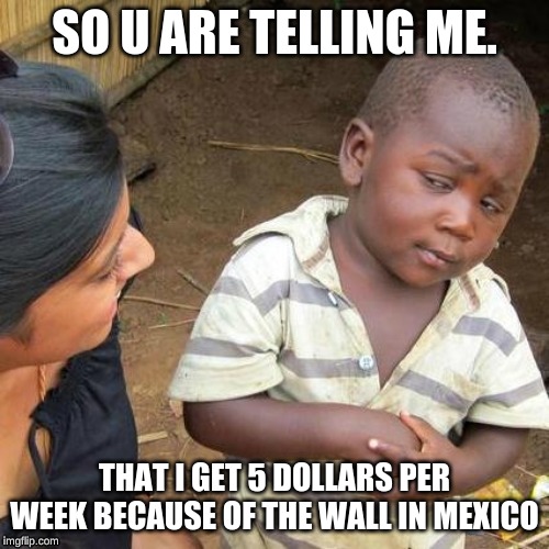 im not trying to be racist | SO U ARE TELLING ME. THAT I GET 5 DOLLARS PER WEEK BECAUSE OF THE WALL IN MEXICO | image tagged in memes,third world skeptical kid | made w/ Imgflip meme maker