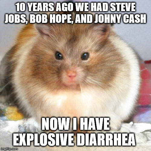 This is also my cat | 10 YEARS AGO WE HAD STEVE JOBS, BOB HOPE, AND JOHNY CASH; NOW I HAVE EXPLOSIVE DIARRHEA | image tagged in this is also my cat | made w/ Imgflip meme maker