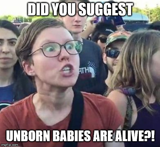 DID YOU SUGGEST UNBORN BABIES ARE ALIVE?! | made w/ Imgflip meme maker
