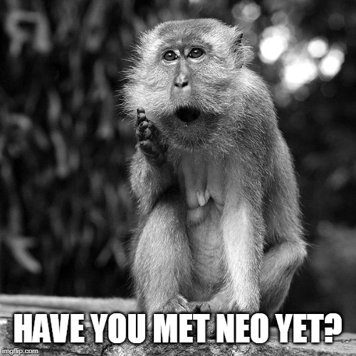Wise Monkey | HAVE YOU MET NEO YET? | image tagged in wise monkey | made w/ Imgflip meme maker