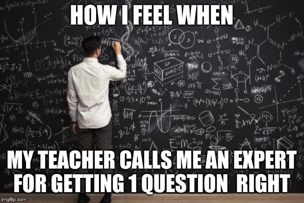 Math | HOW I FEEL WHEN; MY TEACHER CALLS ME AN EXPERT FOR GETTING 1 QUESTION  RIGHT | image tagged in math | made w/ Imgflip meme maker