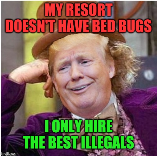Wonka Trump | MY RESORT DOESN'T HAVE BED BUGS; I ONLY HIRE THE BEST ILLEGALS | image tagged in wonka trump | made w/ Imgflip meme maker