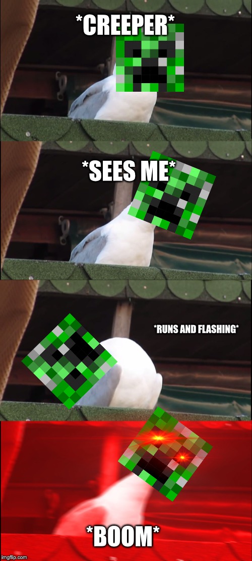 Inhaling Seagull | *CREEPER*; *SEES ME*; *RUNS AND FLASHING*; *BOOM* | image tagged in memes,inhaling seagull | made w/ Imgflip meme maker