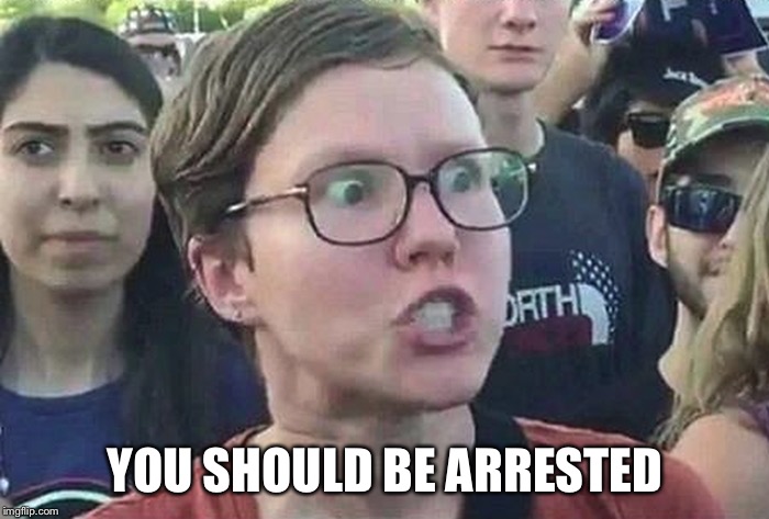 Triggered Liberal | YOU SHOULD BE ARRESTED | image tagged in triggered liberal | made w/ Imgflip meme maker