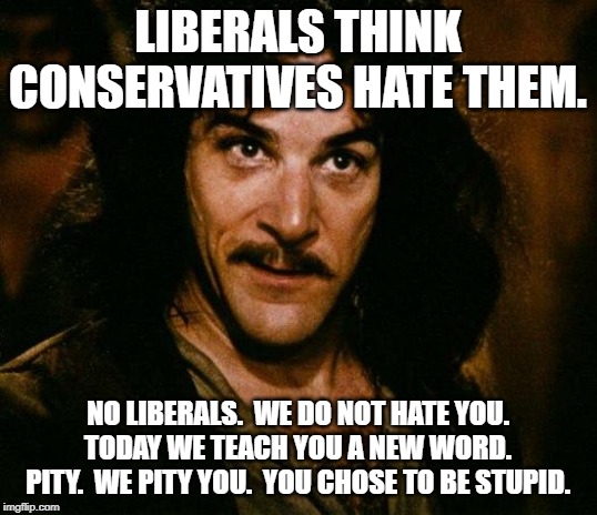 Inigo Montoya Meme | LIBERALS THINK CONSERVATIVES HATE THEM. NO LIBERALS.  WE DO NOT HATE YOU.  TODAY WE TEACH YOU A NEW WORD.  PITY.  WE PITY YOU.  YOU CHOSE TO BE STUPID. | image tagged in memes,inigo montoya | made w/ Imgflip meme maker