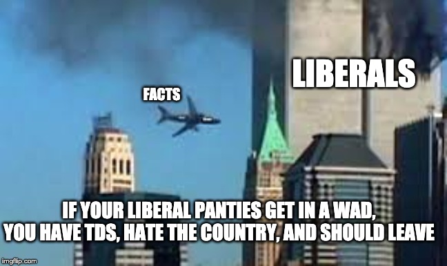 9/11 plane crash | LIBERALS; FACTS; IF YOUR LIBERAL PANTIES GET IN A WAD, YOU HAVE TDS, HATE THE COUNTRY, AND SHOULD LEAVE | image tagged in 9/11 plane crash | made w/ Imgflip meme maker