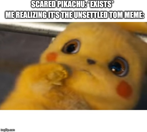 Scared Pikachu | SCARED PIKACHU: *EXISTS*; ME REALIZING IT'S THE UNSETTLED TOM MEME: | image tagged in scared pikachu | made w/ Imgflip meme maker