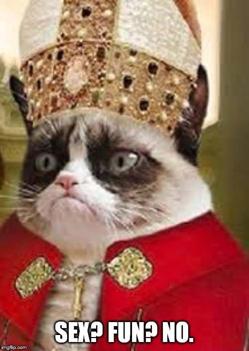 grumpy catholic | SEX? FUN? NO. | image tagged in grumpy catholic | made w/ Imgflip meme maker