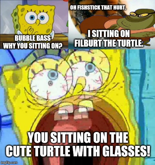 OH FISHSTICK THAT HURT. I SITTING ON FILBURT THE TURTLE. BUBBLE BASS WHY YOU SITTING ON? YOU SITTING ON THE CUTE TURTLE WITH GLASSES! | image tagged in spongebob confused face,turtle say what,spongebob screaming,bubblebass,filburt | made w/ Imgflip meme maker