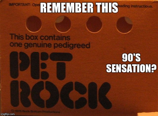 REMEMBER THIS; 90'S SENSATION? | image tagged in pet rock,90's | made w/ Imgflip meme maker