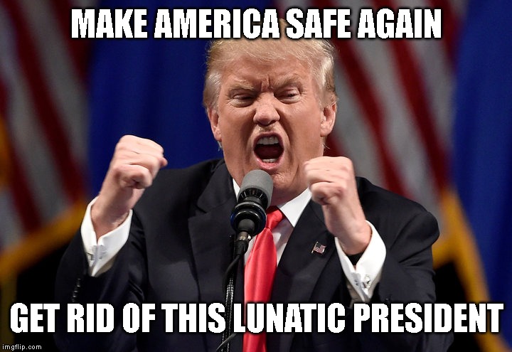 We Hereby Declare Trump Has Lost His Mind | MAKE AMERICA SAFE AGAIN; GET RID OF THIS LUNATIC PRESIDENT | image tagged in insanity,megalomaniac,criminal,liar,traitor,impeach trump | made w/ Imgflip meme maker