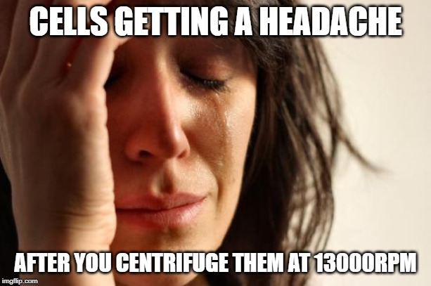 First World Problems Meme | CELLS GETTING A HEADACHE; AFTER YOU CENTRIFUGE THEM AT 13000RPM | image tagged in memes,first world problems | made w/ Imgflip meme maker