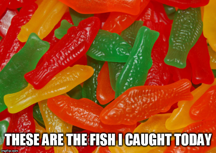 I'm quite the angler | THESE ARE THE FISH I CAUGHT TODAY | image tagged in candy,fish,memes | made w/ Imgflip meme maker