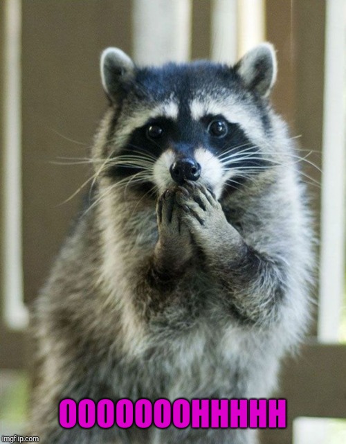 Ashamed Raccoon | OOOOOOOHHHHH | image tagged in ashamed raccoon | made w/ Imgflip meme maker